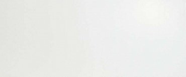 Solid White Matt 50x120 купить в интернет магазине Artisan.ru