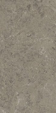 Marvel Meraviglia Grigio Elegante 60x120 Velvet купить в интернет магазине Artisan.ru