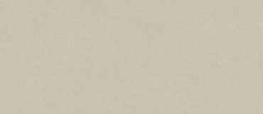Boost Natural Pro Cinder 120x278 - 6mm купить в интернет магазине Artisan.ru