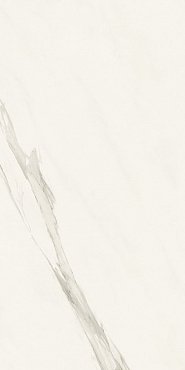 Marvel Meraviglia Calacatta Meraviglia 60x120 Velvet купить в интернет магазине Artisan.ru