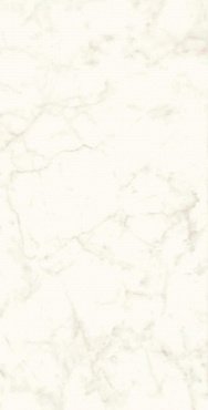 Marvel Calacatta Delicato 120x240 Lappato купить в интернет магазине Artisan.ru