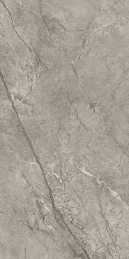 Marvel Meraviglia Silver Majestic 60x120 Lapp. купить в интернет магазине Artisan.ru