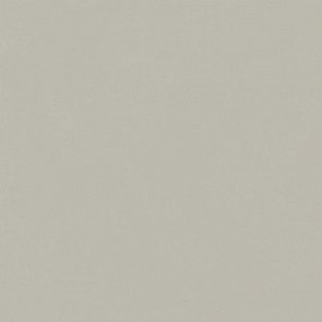 ФОРУМ СЛИМ СИЛЬВЕР 120 РЕТ купить в интернет магазине Artisan.ru