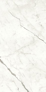 Marvel Statuario Supremo 60x120 Matt купить в интернет магазине Artisan.ru