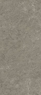 Marvel Meraviglia Grigio Elegante 120x278 - 6mm Lapp. купить в интернет магазине Artisan.ru