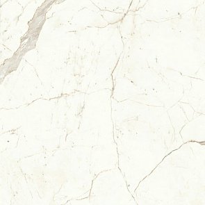 Marvel Calacatta Prestigio 120x120 Lappato купить в интернет магазине Artisan.ru