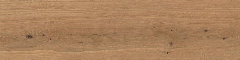 Керамогранит AX4D Atlas Concorde Log 30x120