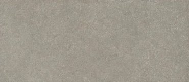 Boost Mineral Grey Elegant 120x278 6mm купить в интернет магазине Artisan.ru