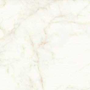 Marvel Calacatta Delicato 120x120 Matt купить в интернет магазине Artisan.ru