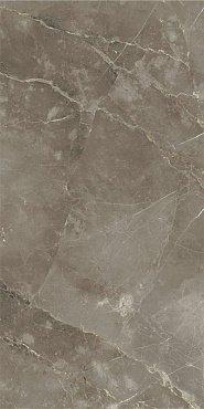 СТЕ.ТУС.ГРЭЙ 60X120 РЕТ купить в интернет магазине Artisan.ru