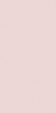 Mono rose 30х60 купить в интернет магазине Artisan.ru