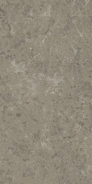 Marvel Meraviglia Grigio Elegante 60x120 Lapp. купить в интернет магазине Artisan.ru