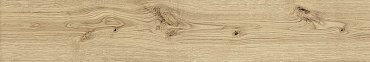 Exence Vanilla купить в интернет магазине Artisan.ru