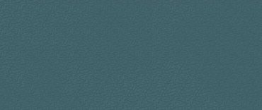 Boost Color Navy Frog 50x120 купить в интернет магазине Artisan.ru