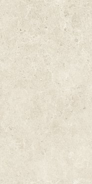 Nyra Star 60x120 купить в интернет магазине Artisan.ru