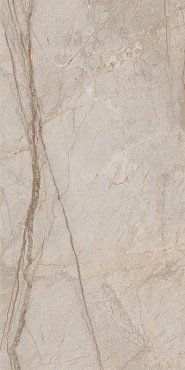 СТЕ.ЭЛЕГ.СИЛЬВЕР 60X120 ШЛИФ купить в интернет магазине Artisan.ru