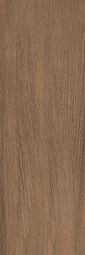 Salutami wood 20х60 купить в интернет магазине Artisan.ru