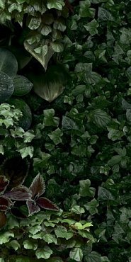 Керамогранит Jane D 50x100 купить в интернет магазине Artisan.ru