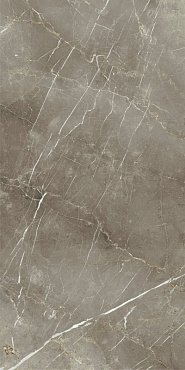 СТЕ.ТУС.ГРЭЙ 60X120 ШЛИФ купить в интернет магазине Artisan.ru