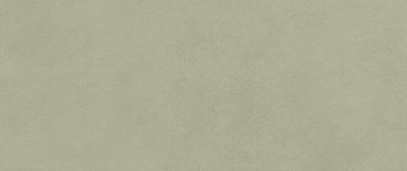 Boost Expression Olive  50x120 купить в интернет магазине Artisan.ru