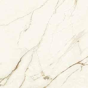 Marvel Calacatta Imperiale 120x120 Matt купить в интернет магазине Artisan.ru