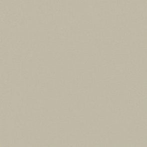 ФОРУМ СЛИМ ДЕЗЕРТ 120 РЕТ купить в интернет магазине Artisan.ru