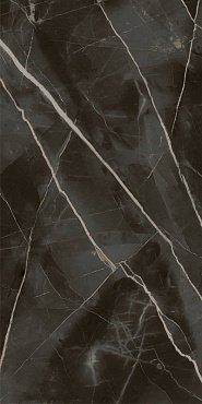 СТЕ.АБС.БЛЭК 60X120 ШЛИФ купить в интернет магазине Artisan.ru