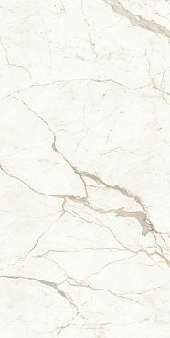 Marvel Calacatta Prestigio 160x320 Lappato купить в интернет магазине Artisan.ru