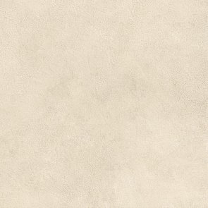 Boost Expression Shell 60x60 купить в интернет магазине Artisan.ru
