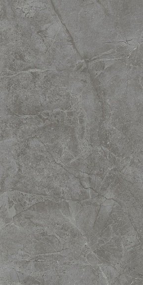 Керамическая плитка 48021R Kerama Marazzi Риальто 40x80