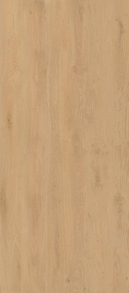 Керамогранит AX26 Atlas Concorde Log 120x278