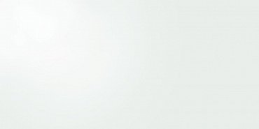 Керамогранит Zeus White Gloss 49.1x98.2 купить в интернет магазине Artisan.ru