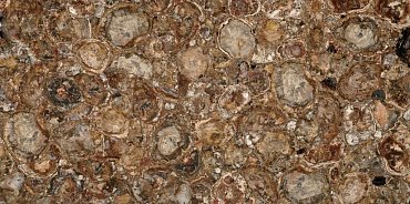 Керамогранит Petrified Wood (Round) (Compound With Granit) MC-SP09 купить в интернет магазине Artisan.ru