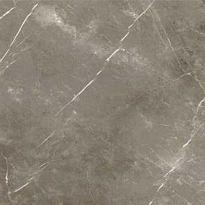 СТЕ.ТУС.ГРЭЙ 120X120 РЕТ купить в интернет магазине Artisan.ru