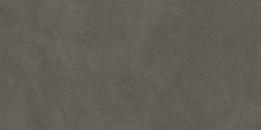 Boost Natural Coal 60x120 купить в интернет магазине Artisan.ru