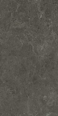 Nyra Charcoal 60x120 купить в интернет магазине Artisan.ru
