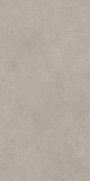 Boost Vision Grey 60x120 купить в интернет магазине Artisan.ru