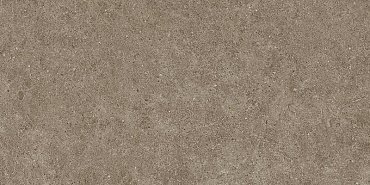 BOOST STONE Taupe 60x120 купить в интернет магазине Artisan.ru