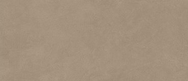 Boost Natural Ecru 50X120 купить в интернет магазине Artisan.ru