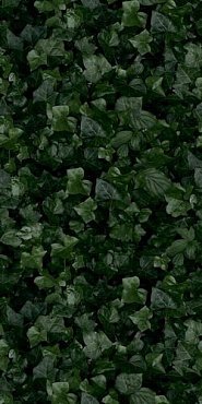 Керамогранит Jane E 50x100 купить в интернет магазине Artisan.ru