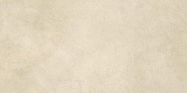 Boost Expression Camel 30x60 купить в интернет магазине Artisan.ru