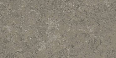 Marvel Meraviglia Grigio Elegante 60x120 купить в интернет магазине Artisan.ru