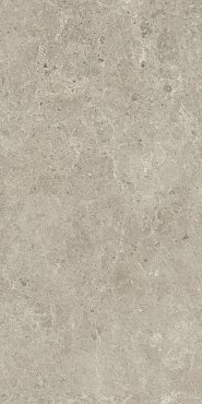 Nyra Mist 60x120 купить в интернет магазине Artisan.ru